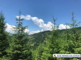 teren-intravilan-de-1-ha-de-vanzare-in-valea-cheii-dambovicioara-arges-16
