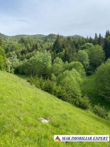 teren-intravilan-de-1-ha-de-vanzare-in-valea-cheii-dambovicioara-arges-31