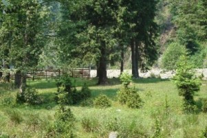 vand-teren-la-munte-2000-mp-extravilan-cabana-voina-leresti-arges-2
