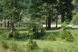 vand-teren-la-munte-2000-mp-extravilan-cabana-voina-leresti-arges-3
