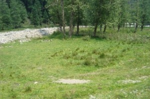 vand-teren-la-munte-2000-mp-extravilan-cabana-voina-leresti-arges-5
