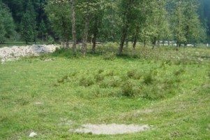 vand-teren-la-munte-2000-mp-extravilan-cabana-voina-leresti-arges-7