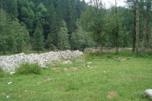 vand-teren-la-munte-2000-mp-extravilan-cabana-voina-leresti-arges-10