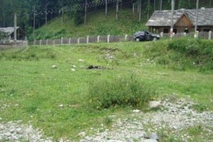 vand-teren-la-munte-2000-mp-extravilan-cabana-voina-leresti-arges-11