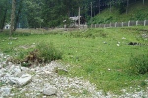 vand-teren-la-munte-2000-mp-extravilan-cabana-voina-leresti-arges-12