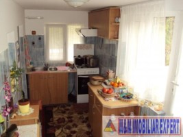 casa-cu-6-camere-si-teren-de-8387-mp-poienarii-de-muscel-arges-9