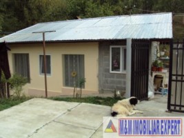 casa-cu-6-camere-si-teren-de-8387-mp-poienarii-de-muscel-arges-4
