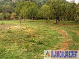 casa-cu-6-camere-si-teren-de-8387-mp-poienarii-de-muscel-arges-13