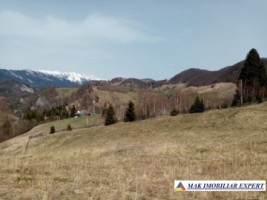 teren-de-vanzare-in-dambovicioara-jud-arges-5801mp-intravilan