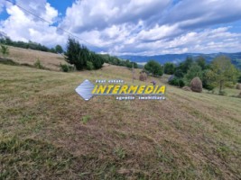 teren-intravilan-de-vanzare-1600-mp-localitatea-scarisoara-jud-alba-3