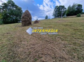 teren-intravilan-de-vanzare-1600-mp-localitatea-scarisoara-jud-alba-4