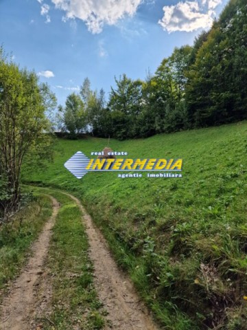teren-intravilan-de-vanzare-1600-mp-localitatea-scarisoara-jud-alba-7