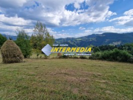 teren-intravilan-de-vanzare-1600-mp-localitatea-scarisoara-jud-alba-6