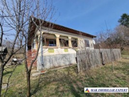 casa-2-camere-teren-8915-mp-de-vanzare-in-bradulet-galesu-arges