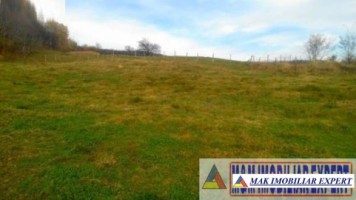 teren-intravilan-6000-mp-de-vanzare-in-hartesti-arges-4