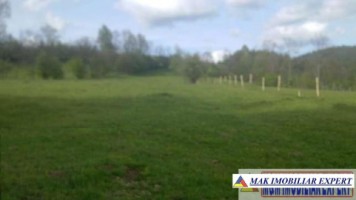 teren-intravilan-6000-mp-de-vanzare-in-hartesti-arges-1