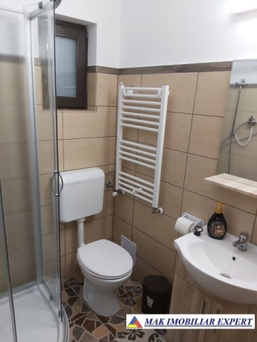 vand-vila-cu-4-camere-si-teren-de-2000-mp-in-nucsoara-arges-23