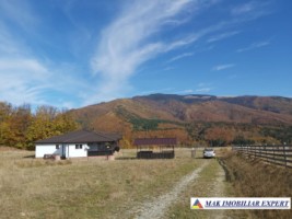 vand-vila-cu-4-camere-si-teren-de-2000-mp-in-nucsoara-arges-29