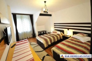 pensiune-15-camere-teren-1728-mp-bradulet-arges-6