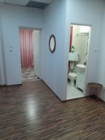 vila-de-inchiriat-in-zona-ultra-centrala-la-intersectia-mosiloreminescu-2