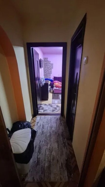 vest-er-grigorescu-2cam-cf1-dec-210-gft-61000-euro-2