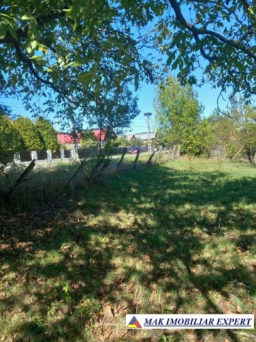 teren-intravilan-6000-mp-de-vanzare-in-hartesti-arges
