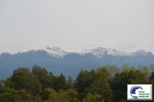 teren-intravilan-bran-predelut-1