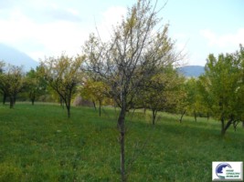 teren-intravilan-bran-predelut-3