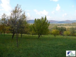 teren-intravilan-bran-predelut-2