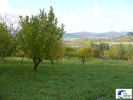 teren-intravilan-bran-predelut-4