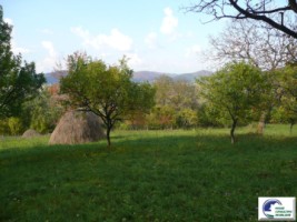 teren-intravilan-bran-predelut-5