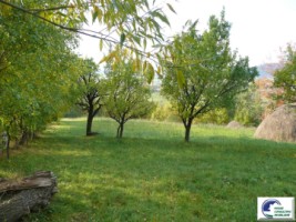 teren-intravilan-bran-predelut-6