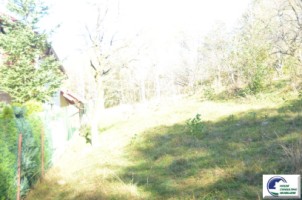 teren-intravilan-bran-predelut-8
