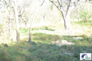 teren-intravilan-bran-predelut-10