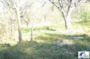 teren-intravilan-bran-predelut-11