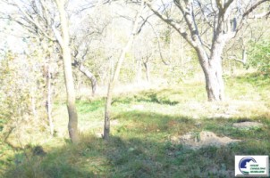 teren-intravilan-bran-predelut-12
