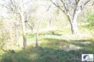 teren-intravilan-bran-predelut-13