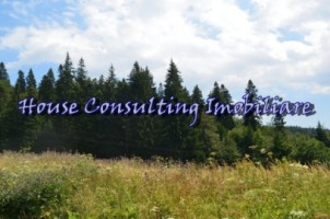teren-intravilan-situat-in-predeal-0
