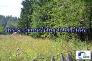 teren-intravilan-situat-in-predeal-1