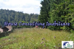 teren-intravilan-situat-in-predeal-2