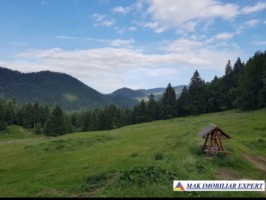 domeniu-cu-2-pensiuni-20-camere-si-10-ha-teren-de-vanzare-in-dealul-sasului-dambovicioara-arges-34