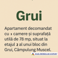 apartament-3-camere-confort-1-etaj-24-de-vanzare-in-campulung-muscel-arges
