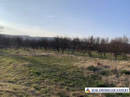 teren-3142-mp-intravilan-cu-casa-batraneasca-2-camere-de-vanzare-in-radesti-stalpeni-arges-3