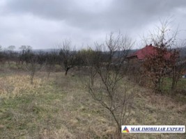 teren-3142-mp-intravilan-cu-casa-batraneasca-2-camere-de-vanzare-in-radesti-stalpeni-arges-2