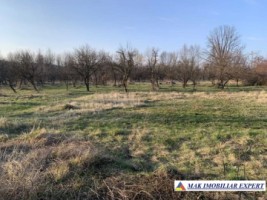 teren-3142-mp-intravilan-cu-casa-batraneasca-2-camere-de-vanzare-in-radesti-stalpeni-arges-4