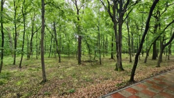 paulesti-zona-lac-zona-agrement-teren-padure-22500-mp-la-55-euromp