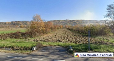 vand-teren-5000-mp-intravilan-radesti-stalpeni-arges