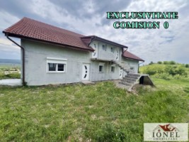 casa-de-vanzare-in-teius-11