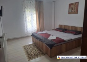 vila-10-camere-cu-teren-4800-mp-de-vanzare-in-dambovicioara-arges-8