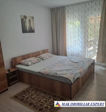 vila-10-camere-cu-teren-4800-mp-de-vanzare-in-dambovicioara-arges-9